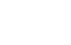 Grupo Antolin